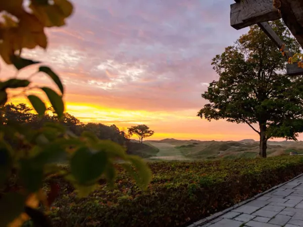 The image from the cover of the additional contributions brochure:  overlooking a field and trees into a setting sunset on the horizon.