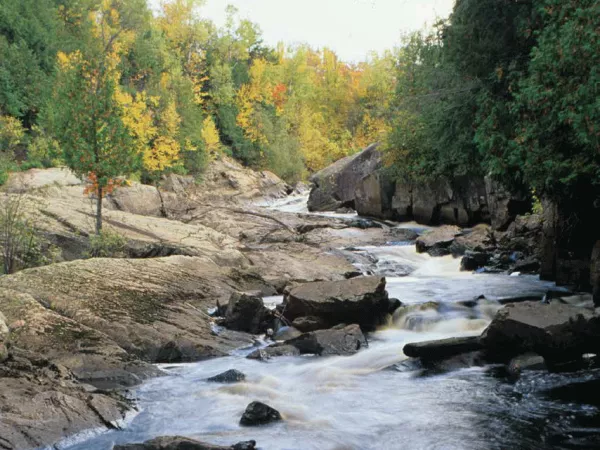 The image from the cover of the Buying Creditable Service brochure:  a picture of a stream flowing down the middle of a forest.