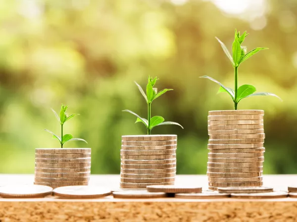 Three stacks of coins getting larger as they go to the right with a small plant on top of each.